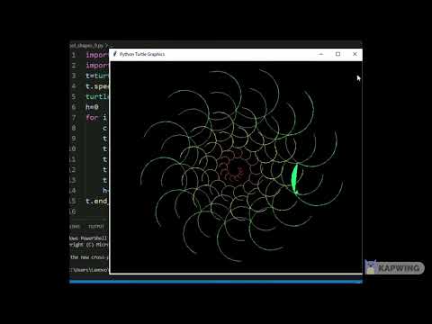 Turtle Python Project